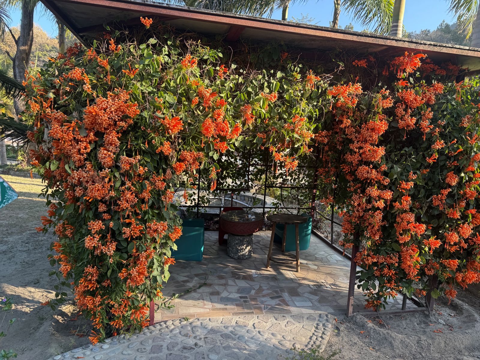 20250216_024316766_iOS