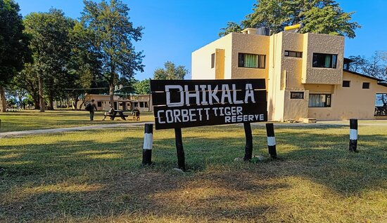Dhikala Night Stay Booking
