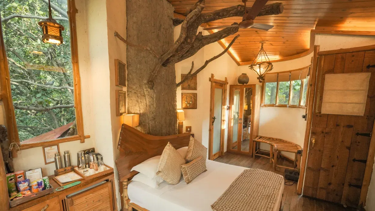 Treehouse_4_2b355880