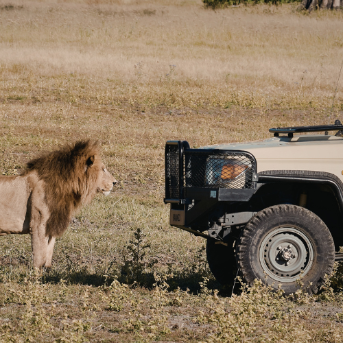corbett-jeep-safari-1