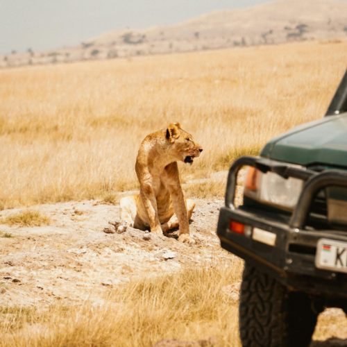 corbett-jeep-safari-2