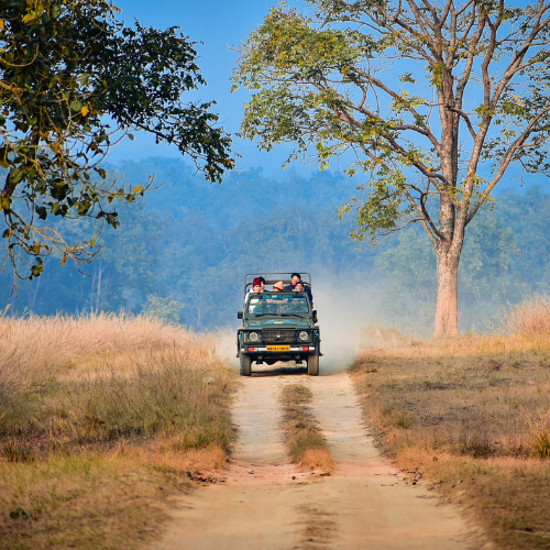 corbett-jeep-safari-4