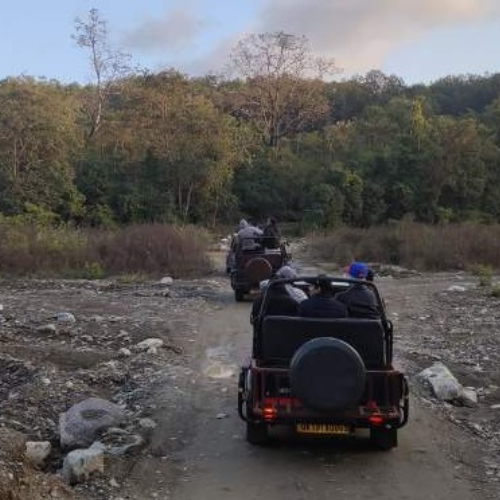 corbett-safari-tour-package-3