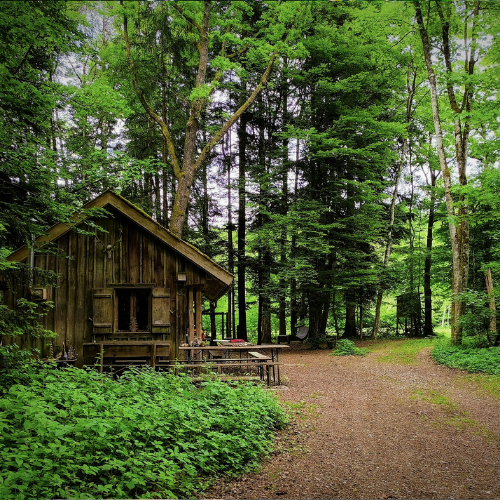 corbett-three-days-tour-package-1