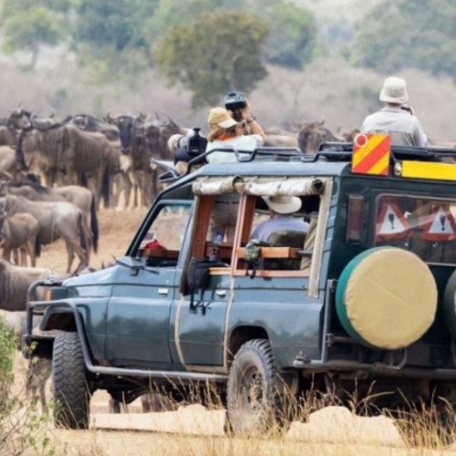 dhikala-canter-safari-1