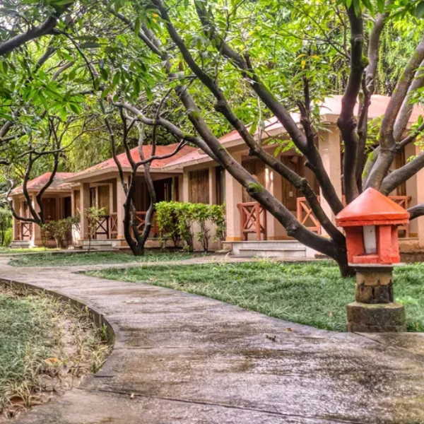 tiger-camp-resortgallery-5