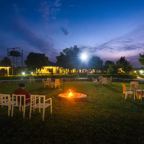 tusk-and-roar-corbett-resort-gallery5